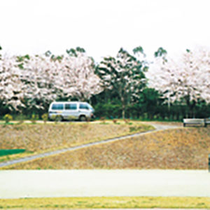 hanami_l